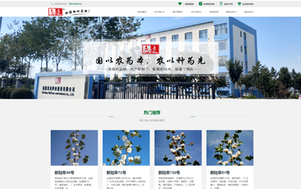 新疆惠远种业企业网站设计建设